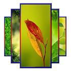 Leaf Wallpaper أيقونة