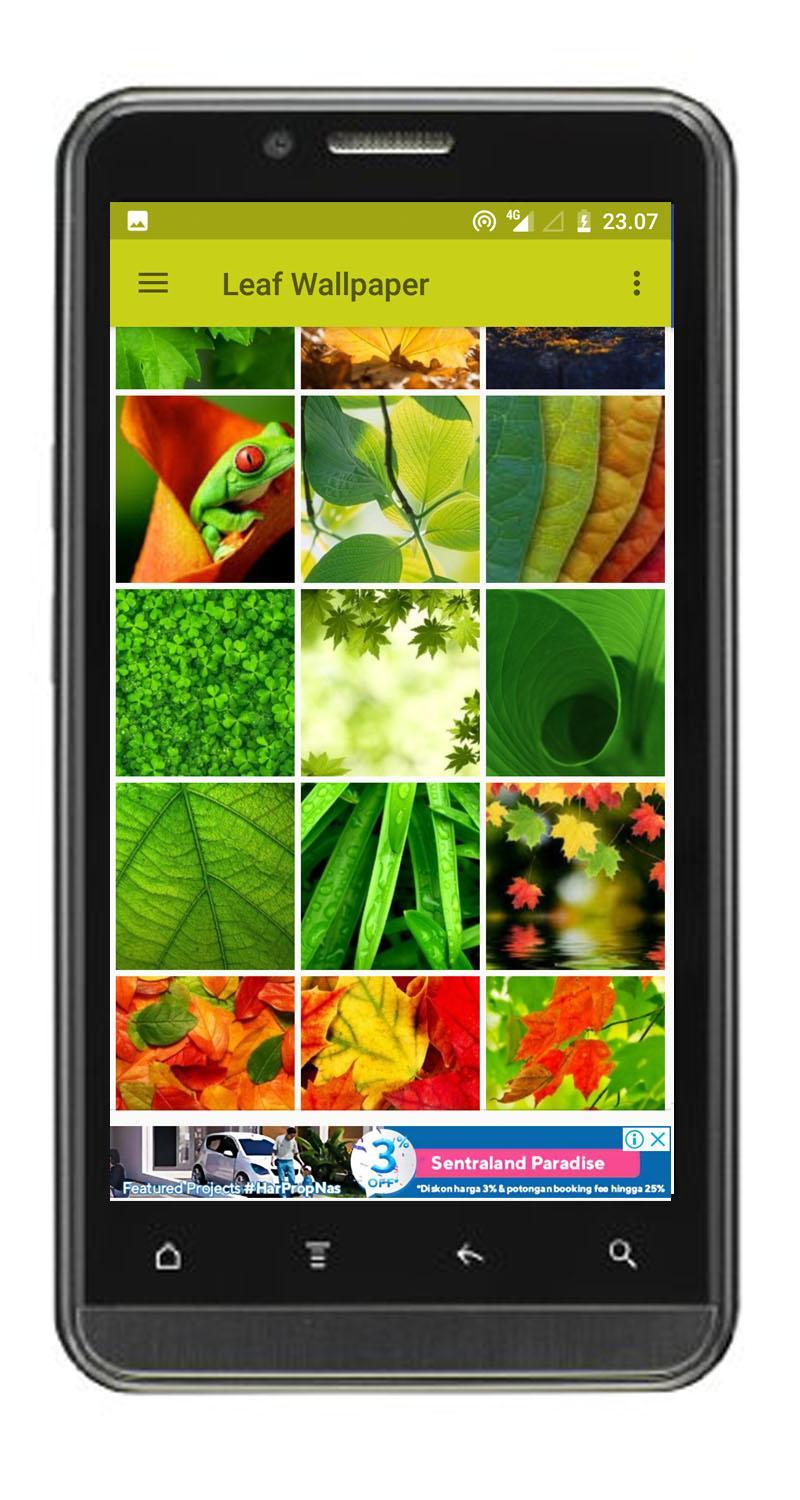  Wallpaper  Daun Hijau  HD for Android APK Download