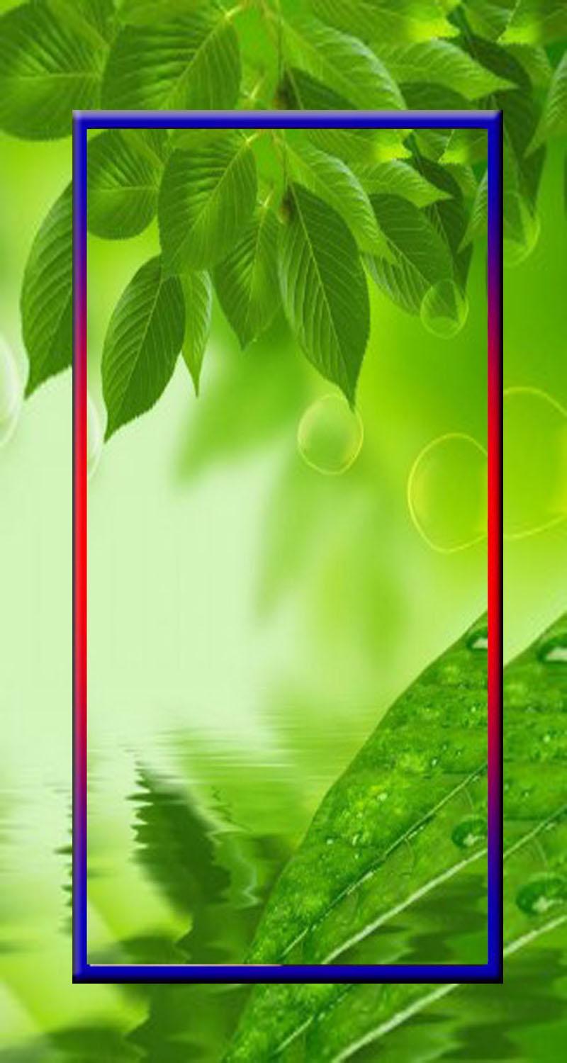  Wallpaper  Daun Hijau  HD for Android APK Download