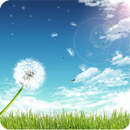 Dandelion under the sun-APK