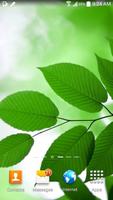 Leaf Live Wallpaper पोस्टर