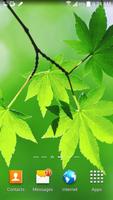 Leaf Live Wallpaper captura de pantalla 1