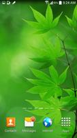 Leaf Live Wallpaper स्क्रीनशॉट 3