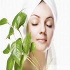 Remove Pimples - Natural remedies Zeichen