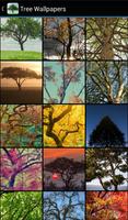 Tree Wallpapers โปสเตอร์