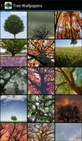 Tree Wallpapers capture d'écran 1