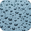 Water Drop Wallpapers