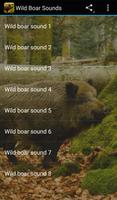 Wild Boar Sounds poster