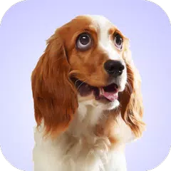 Dog Whining Sounds APK download