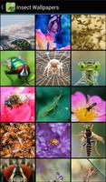 برنامه‌نما Insect Wallpapers عکس از صفحه