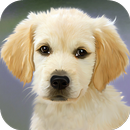 Puppy Wallpapers APK