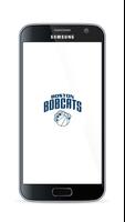 Boston Bobcats 海報