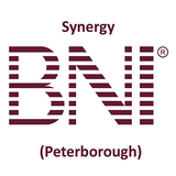 Synergy BNI 아이콘