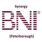Synergy BNI आइकन