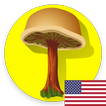 Mushroom identification App fo