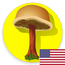 Cogumelos determinar o App gra APK