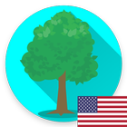 Tree icon