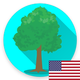Tree Identifier App - Los árbo