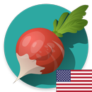 Vegetable Quiz & Knowledge App APK