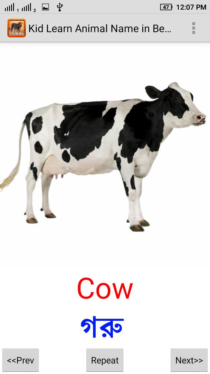 Kid Learn Animal Name: Bengali APK pour Android Télécharger Kid Learn Animal Name: Bengali APK pour Android Télécharger