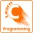 Learn C Programming (Examples) APK
