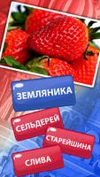 Russian Vocabulary poster