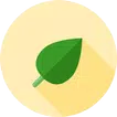 Learn Spring - Java Framework