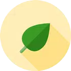 Learn Spring - Java Framework icon