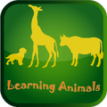 Learning Animals
