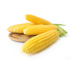 آیکون‌ Как варить кукурузу
