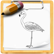 ”How To Draw Birds