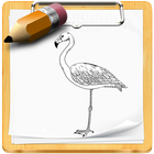 How To Draw Birds أيقونة