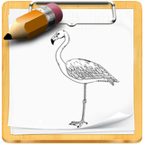 How To Draw Birds آئیکن