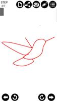 How To Draw Birds 截图 3