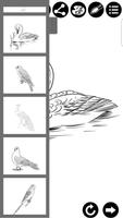 How To Draw Birds تصوير الشاشة 1