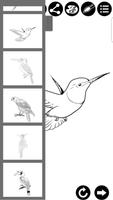 How To Draw Birds تصوير الشاشة 2