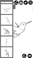 How To Draw Birds imagem de tela 2