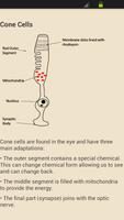 GCSE Core Science - AQA اسکرین شاٹ 2