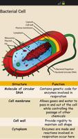 GCSE Additional Science - OCR 截图 2