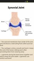 GCSE Separate Science - OCR ảnh chụp màn hình 2