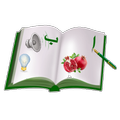Urdu Awaz Qaida