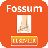 Small Animal Fracture Mgmt