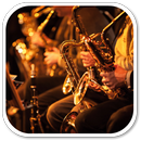 How to Play Saxophone APK