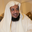 APK Holy Quran - Idrees Abkar