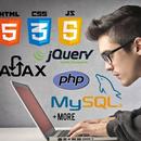 Learn WebDev Online APK