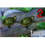 Top Ranked Learn to Count Vids