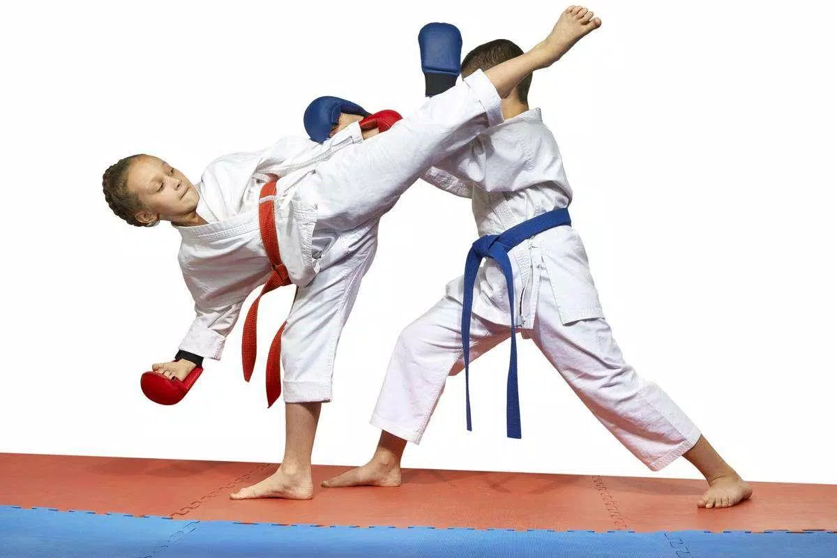 taekwondo techniques for beginners