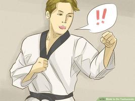 Learn Taekwondo Techniques اسکرین شاٹ 3