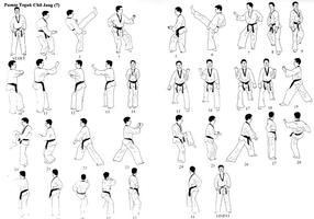 Learn Taekwondo Techniques اسکرین شاٹ 2