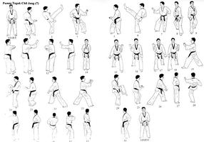 Learn Taekwondo Techniques ภาพหน้าจอ 2